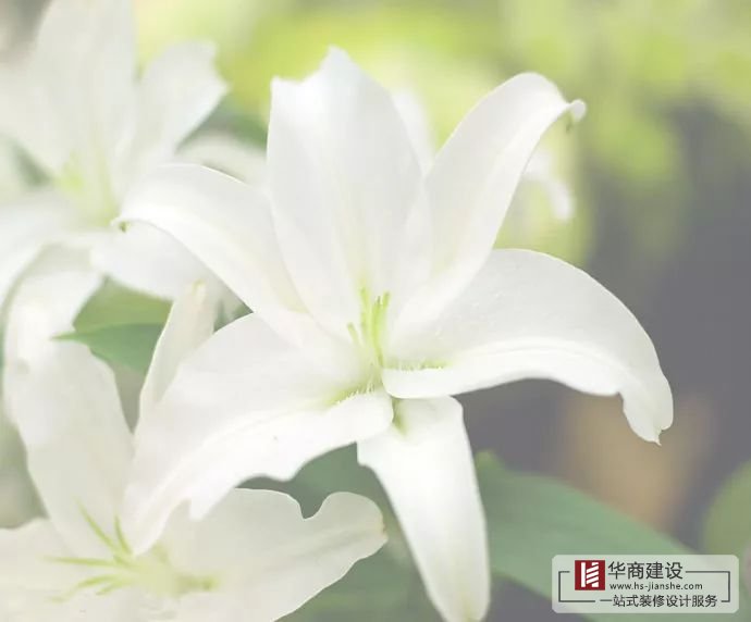裝修不將就，廣州大型公裝家裝公司更注重細(xì)節(jié)